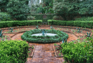 A circular garden surrounded by shrubs and trees.
